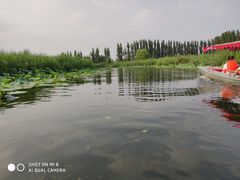 -白洋淀景区