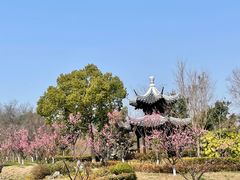 -狼山风景名胜区