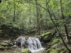 -牛背梁国家森林公园