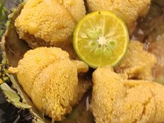 生吃海胆-品海楼·大连海胆锅贴馆(东港店)