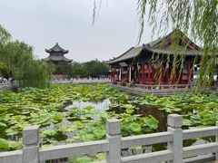 -济南大明湖景区