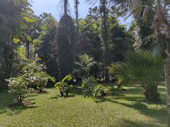 -中国科学院西双版纳热带植物园