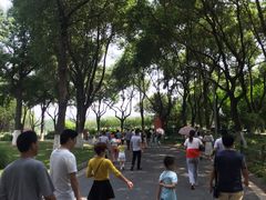 -昆山城市生态森林公园