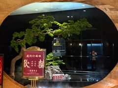 -同庆楼(天鹅湖万达店)
