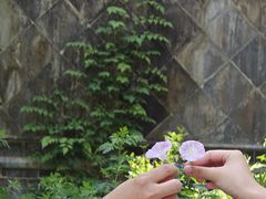 -西安关中民俗艺术博物院