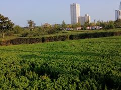 -汇泉广场