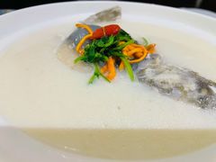 养颜白汁河豚-肆月河豚·新淮扬(金融街店)
