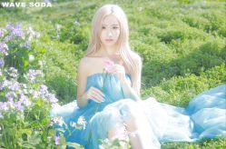 -WAVE SODA摄影工作室