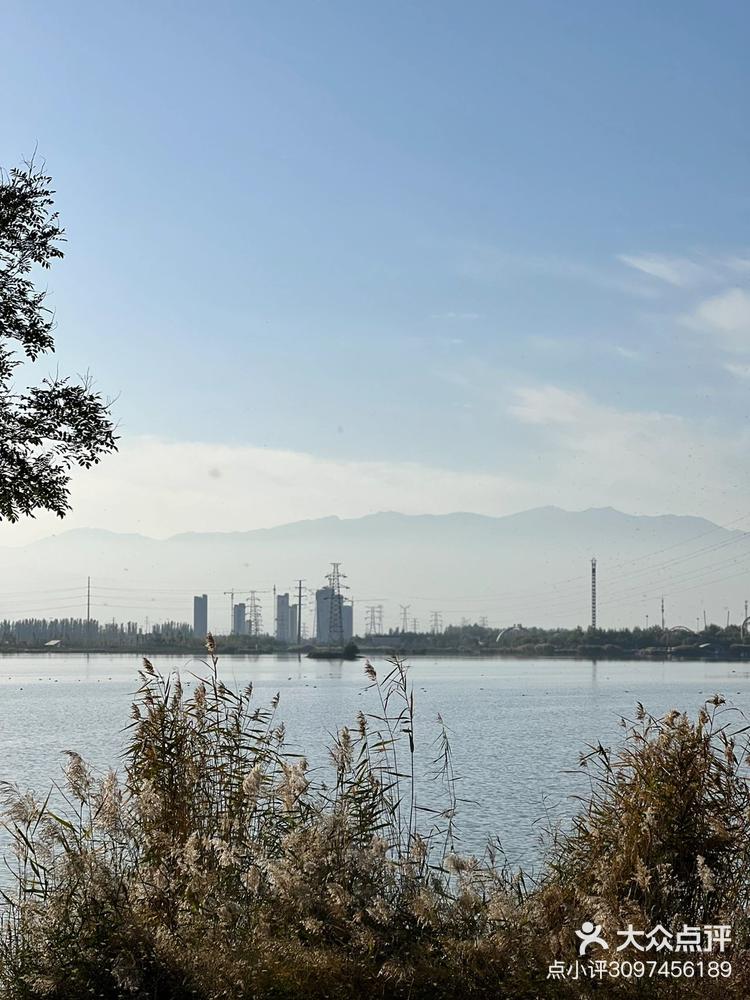 阅海国家湿地公园宁夏银川金凤区