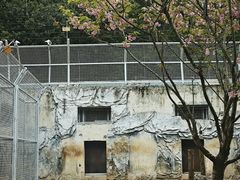 -黔灵山公园