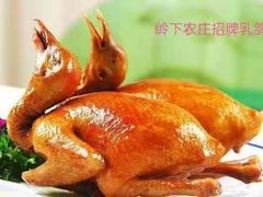 -岭下农庄·农家菜·野生大头鱼·公司团建(福永凤凰山店)