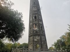 -上海佘山国家森林公园天马山园