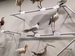 -中国湿地博物馆