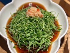 热炝豌豆苗-芳芳私房菜·精做淮扬菜(承德路店)