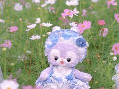 -花开海上生态园