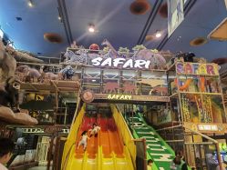 -卡通尼·Safari非洲探索乐园·生日会(金桥国际商业广场店)