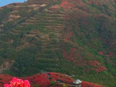 -大围山国家森林公园