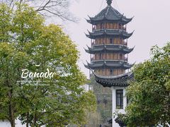 -红梅公园