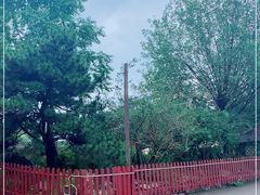 -尚庄度假村·庭台树下·户外烧烤·团建CS·轰趴营地(上庄水库店)