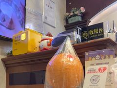 -宠爱国际动物医院·疑难骨科·心肾内科·皮肤科(太阳宫店)