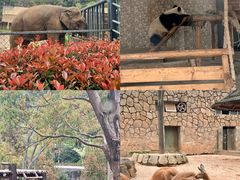 -华谊兄弟（长沙）电影小镇