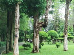 -南宁南湖公园