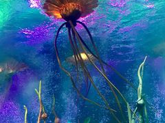 -沈阳海洋探索中心