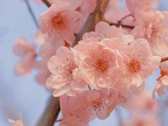 -小六汤包·老字号·中华名小吃(公园南路店)