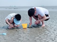 -南汇嘴观海公园