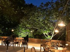 景观位-毛辣果·酸