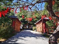 -丽江玉水寨
