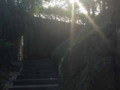 -厦门园林植物园-植物园滴水山房