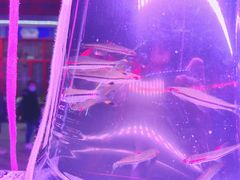 -华声天桥民俗文化园