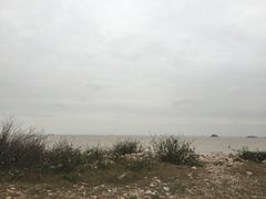 -野狸岛