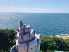 -放鸡岛生态旅游国际度假区