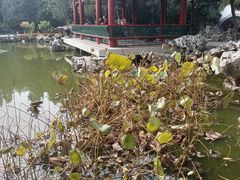 -宣武艺园