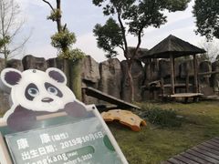 -上海野生动物园