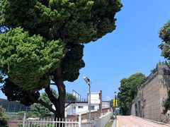 -松月洞童话村