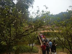 -南国桃园旅游度假区