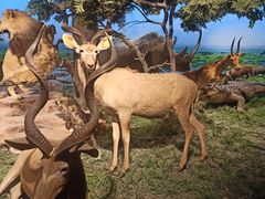 -国家自然博物馆