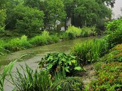 -杭州城北体育公园