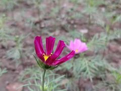 -桤木河湿地公园