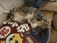 -逃脱反斗城沉浸剧情密室(北京路店)