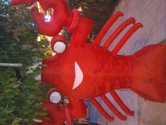 -霸王虾·麻辣小龙虾(清水河公园店)