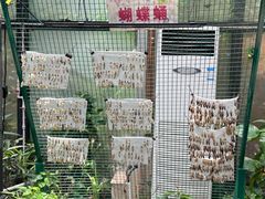 -上海大自然野生昆虫馆(东方明珠·爬宠昆虫探索中心)