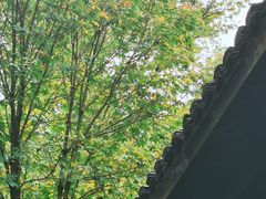 -法云安缦酒店