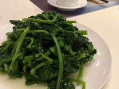 高山豌豆苗-鼎泰丰(渔阳店)