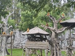 -上海野生动物园
