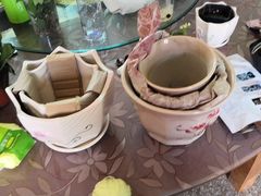 -龙大花卉苗木市场