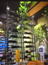 -藤野造型·专业烫染店